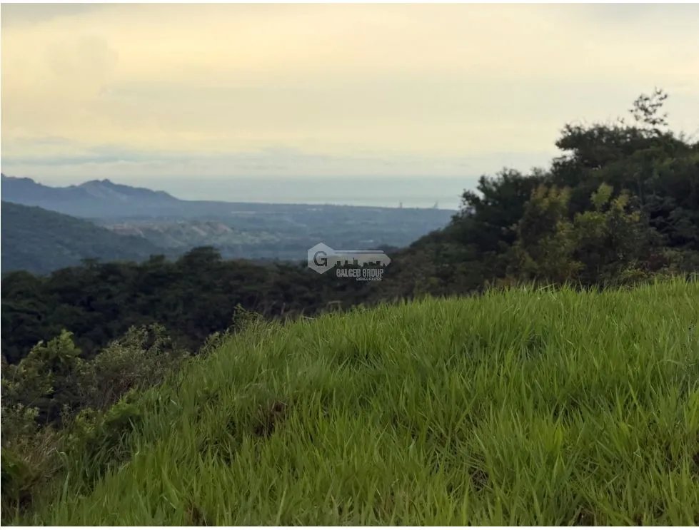 TERRENO / CHAME / SORÁ / 21 HECTAREAS / HERMOSA VISTA AL MAR / AMPLIO