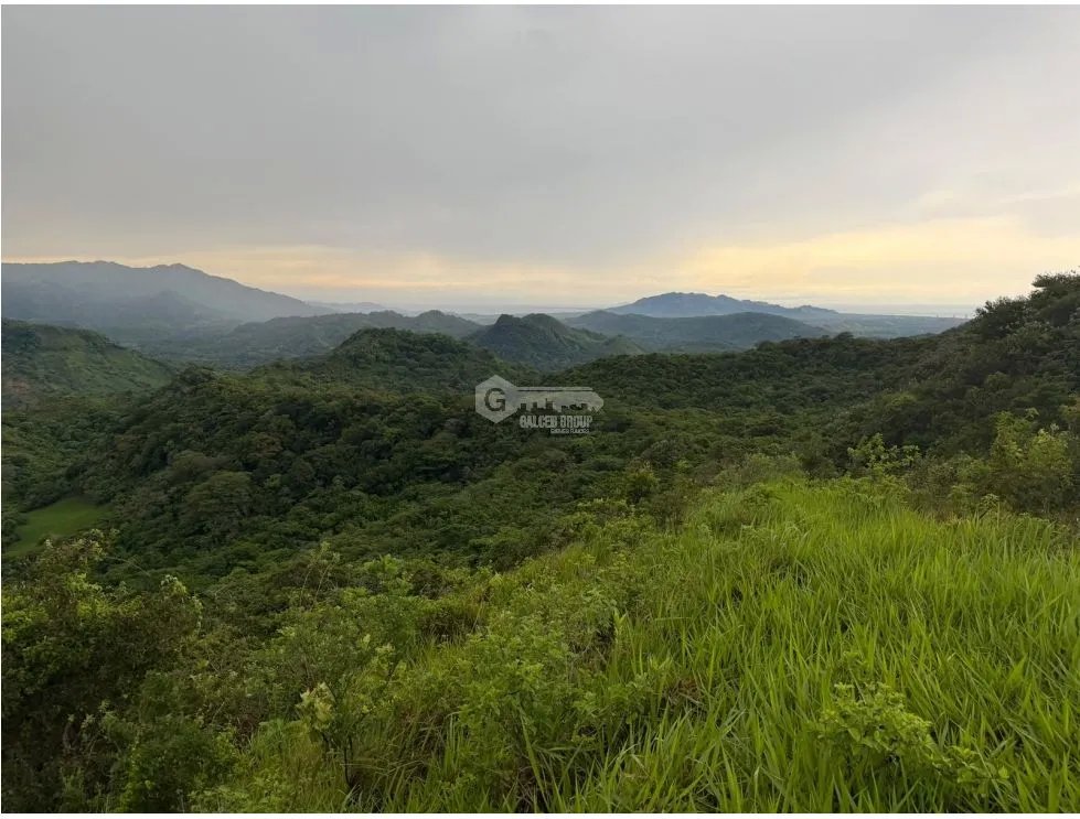 TERRENO / CHAME / SORÁ / 21 HECTAREAS / HERMOSA VISTA AL MAR / AMPLIO