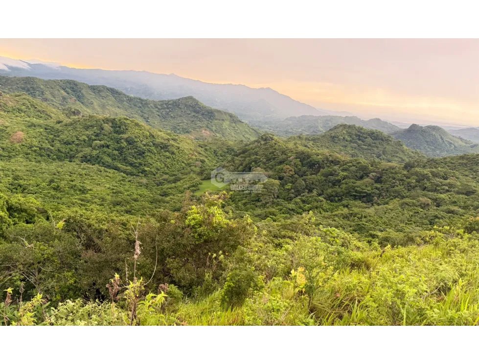 TERRENO / CHAME / SORÁ / 21 HECTAREAS / HERMOSA VISTA AL MAR / AMPLIO