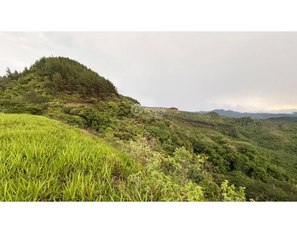 TERRENO / CHAME / SORÁ / 21 HECTAREAS / HERMOSA VISTA AL MAR / AMPLIO