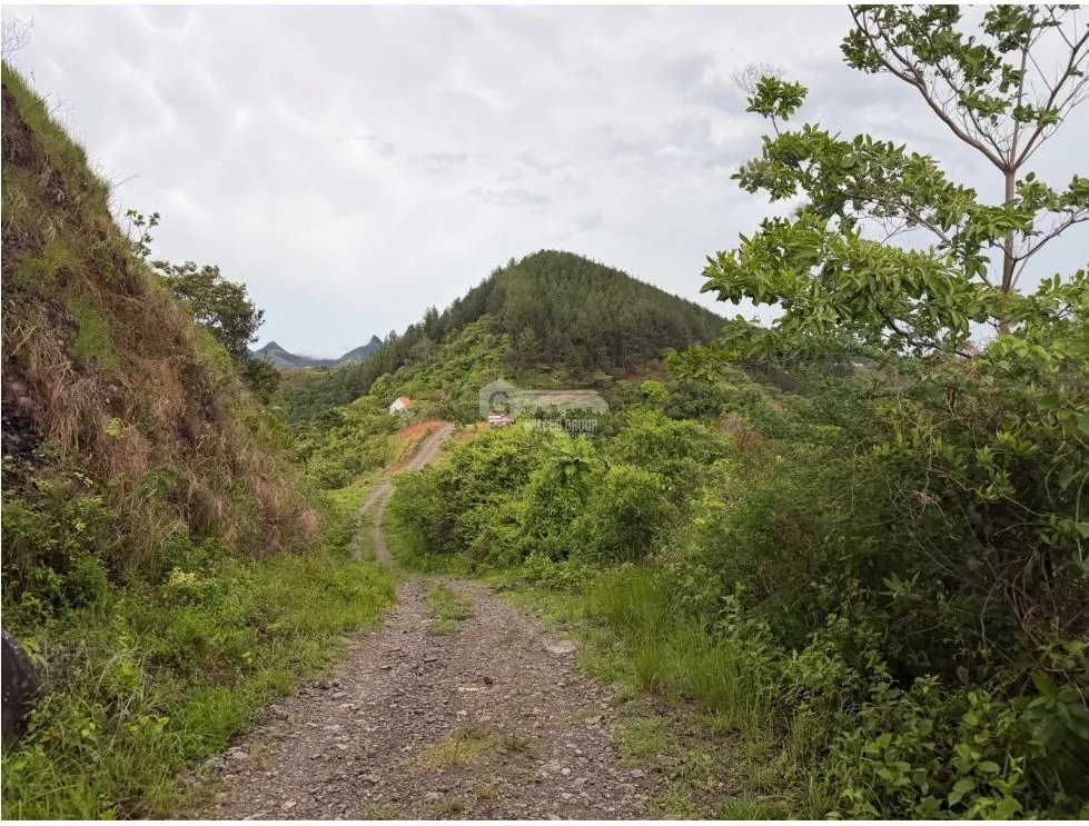 SE VENDE TERRENO EN CHAME SORÁ 21 HECTAREAS CON HERMOSA VISTA AL MAR