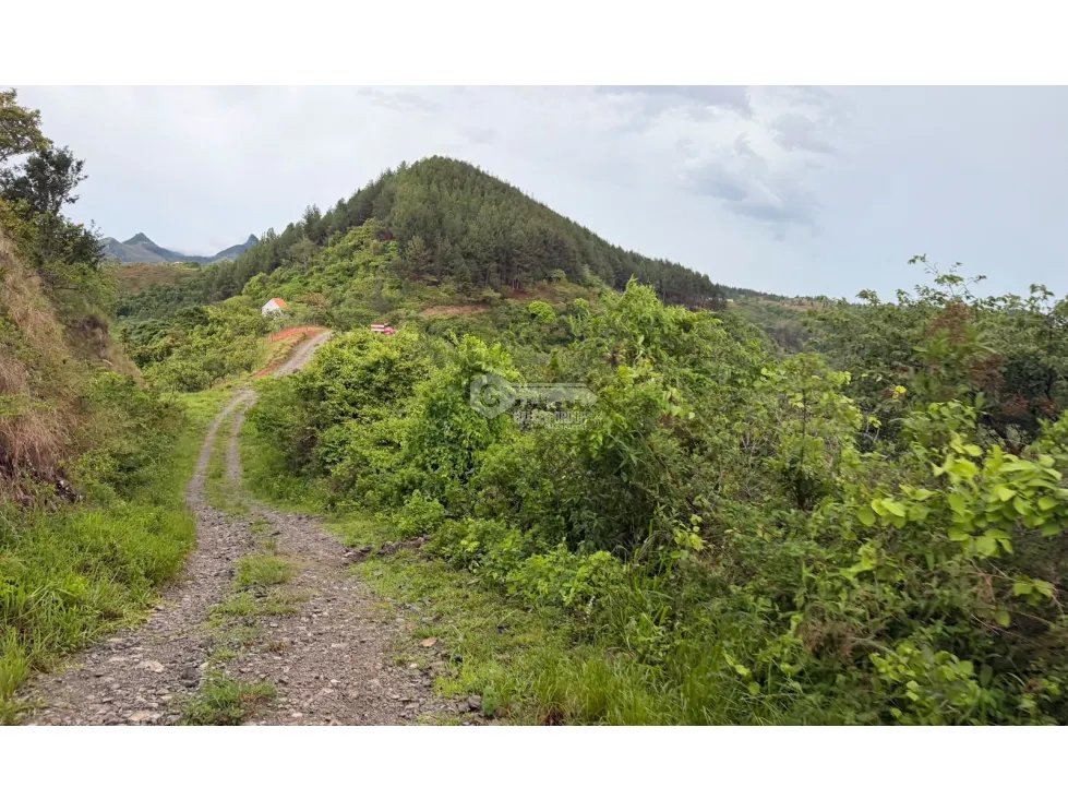 Building Lot for sale in Sora