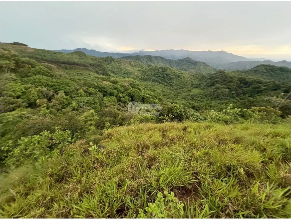 Land/Farm for sale in Sora