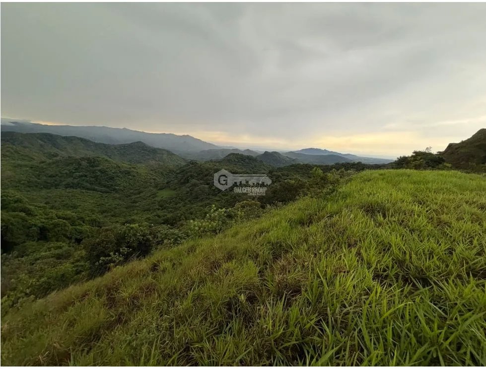Land/Farm for sale in Sora
