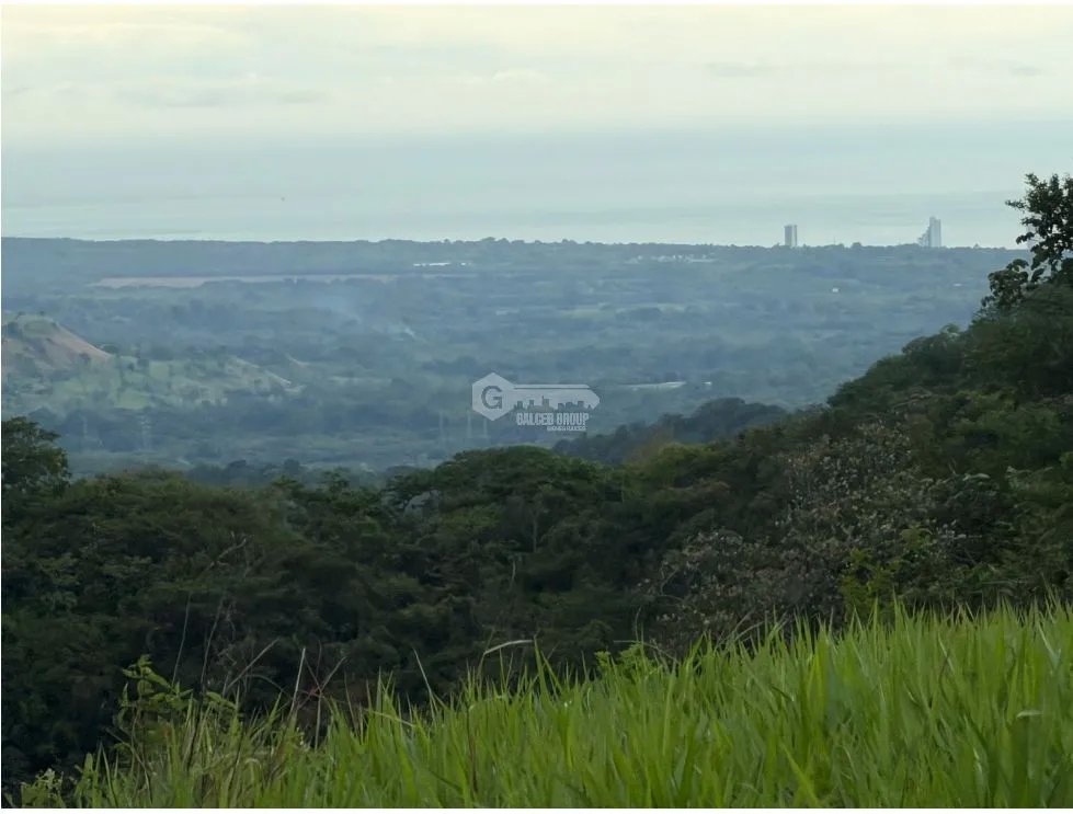 Land/Farm for sale in Sora