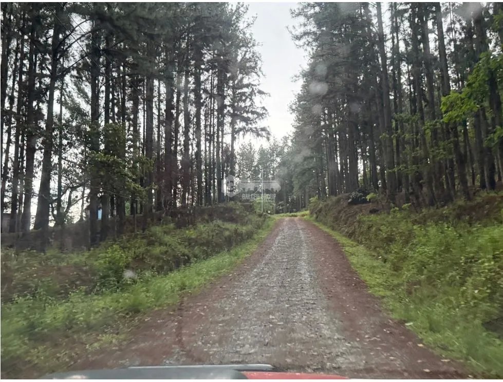 Land/Farm for sale in Sora