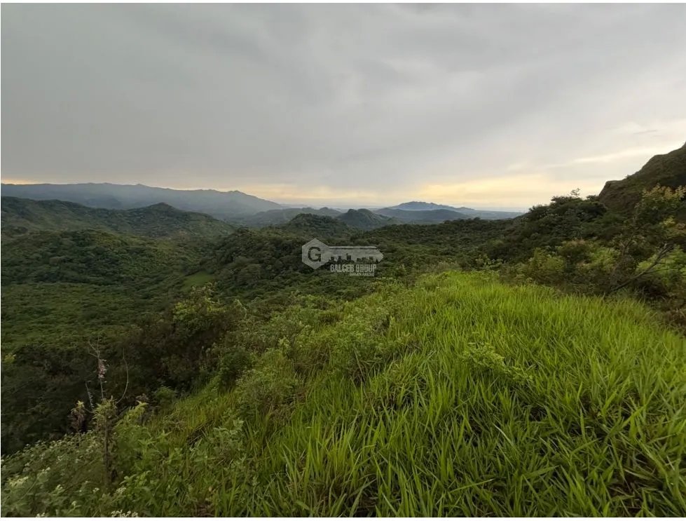 Land/Farm for sale in Sora