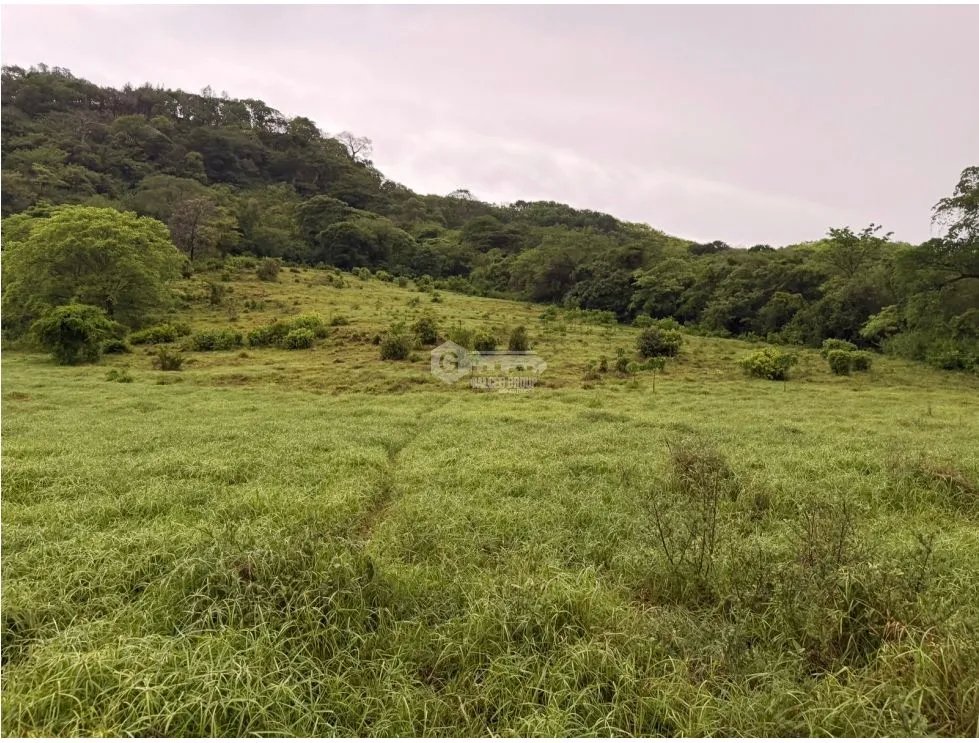 SE VENDE TERRENOEN LOS CAJONES DE CHAME 70K M ACCESO A AGUA VIVA
