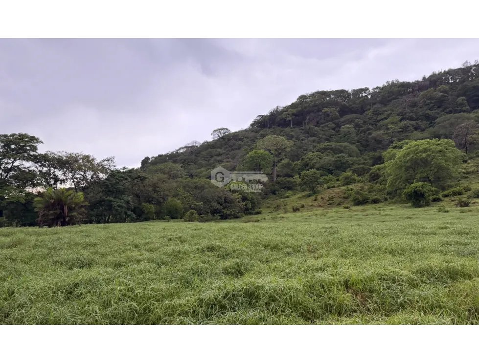 SE VENDE TERRENOEN LOS CAJONES DE CHAME 70K M ACCESO A AGUA VIVA