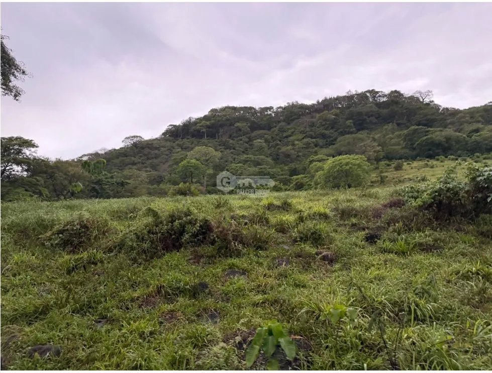 SE VENDE TERRENOEN LOS CAJONES DE CHAME 70K M ACCESO A AGUA VIVA