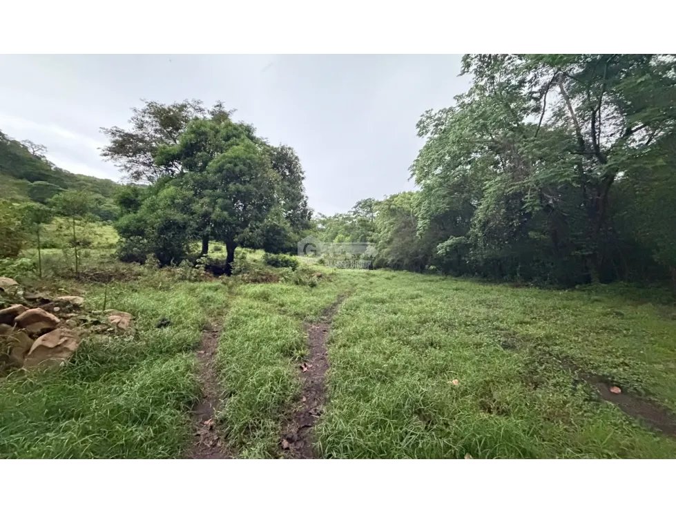 SE VENDE FINCA EN LOS CAJONES DE CHAME 7 HECTÁREAS VIA ASFALTADA