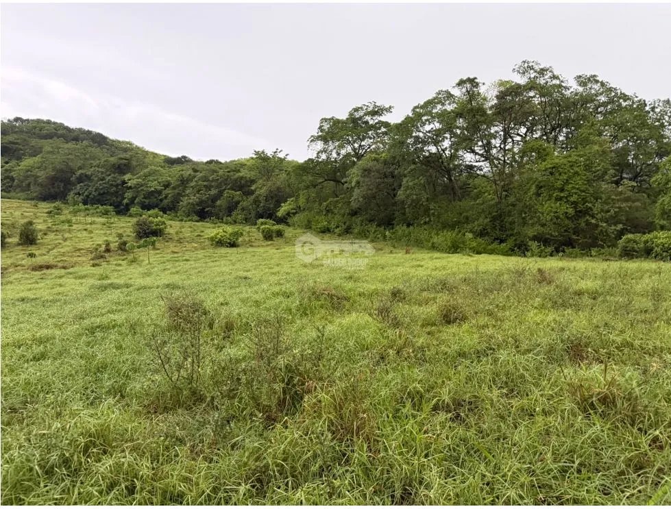 SE VENDE FINCA EN LOS CAJONES DE CHAME 7 HECTÁREAS VIA ASFALTADA