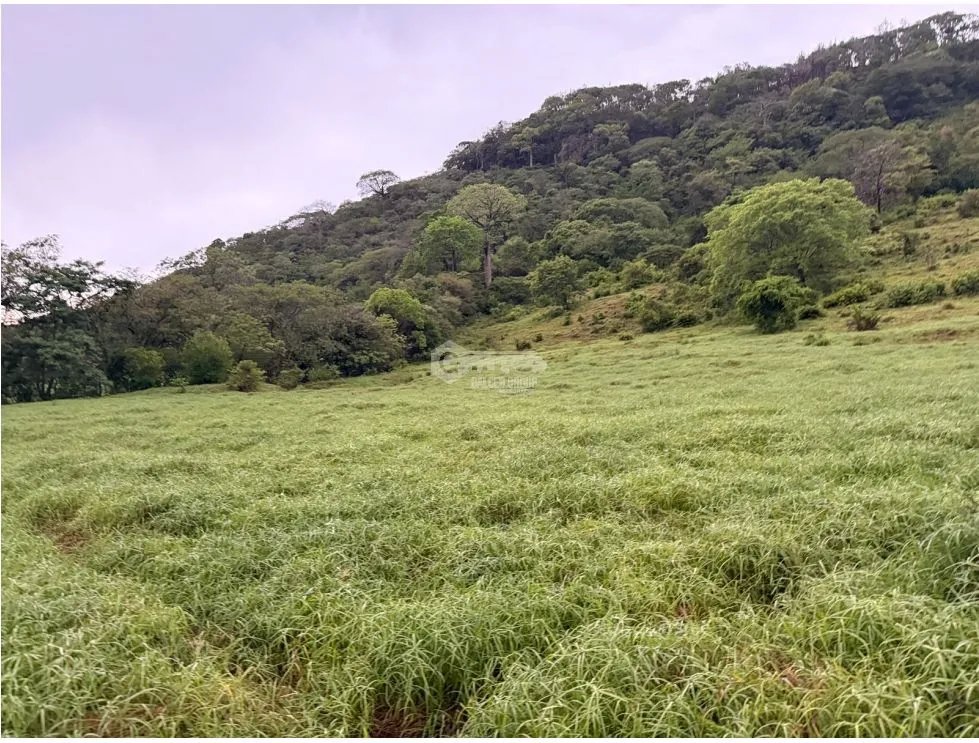 Land/Farm for sale in Sora