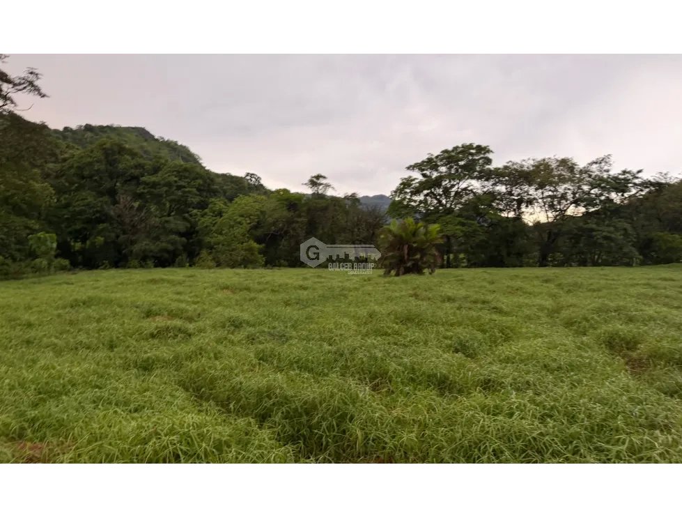 Land/Farm for sale in Sora