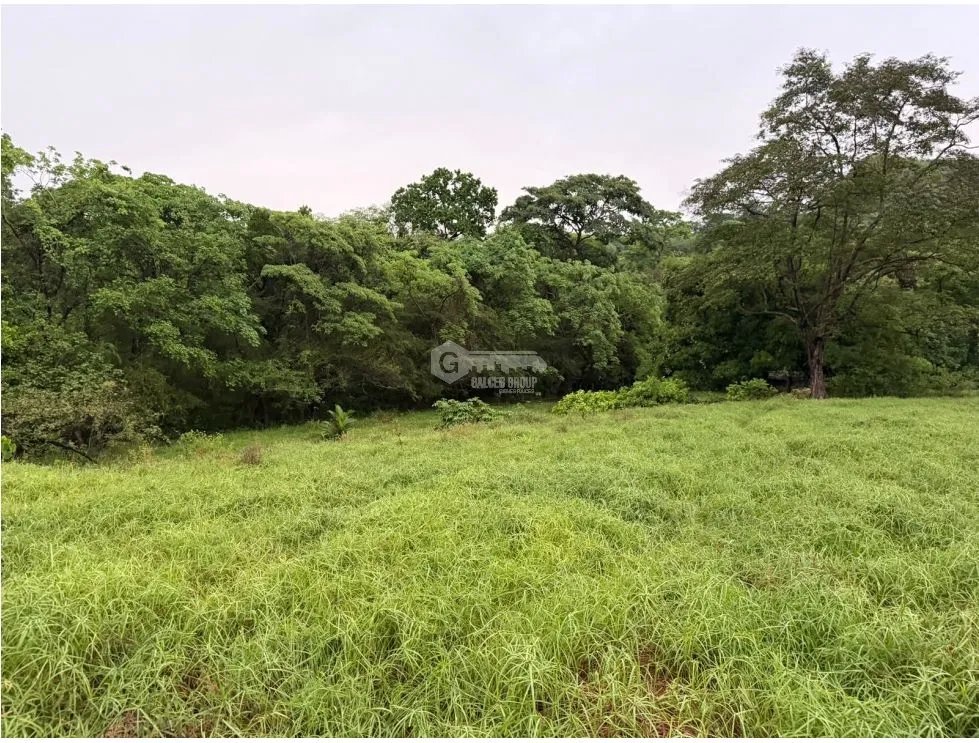 Land/Farm for sale in Sora