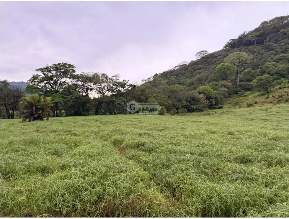 Building Lot for sale in Sora