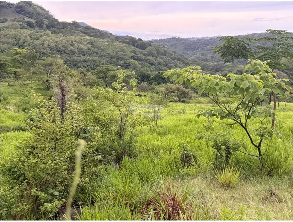 SE VENDE TERRENO LOS CAJONES DE CHAME 1800M SOBRE VIA ASFALTADA