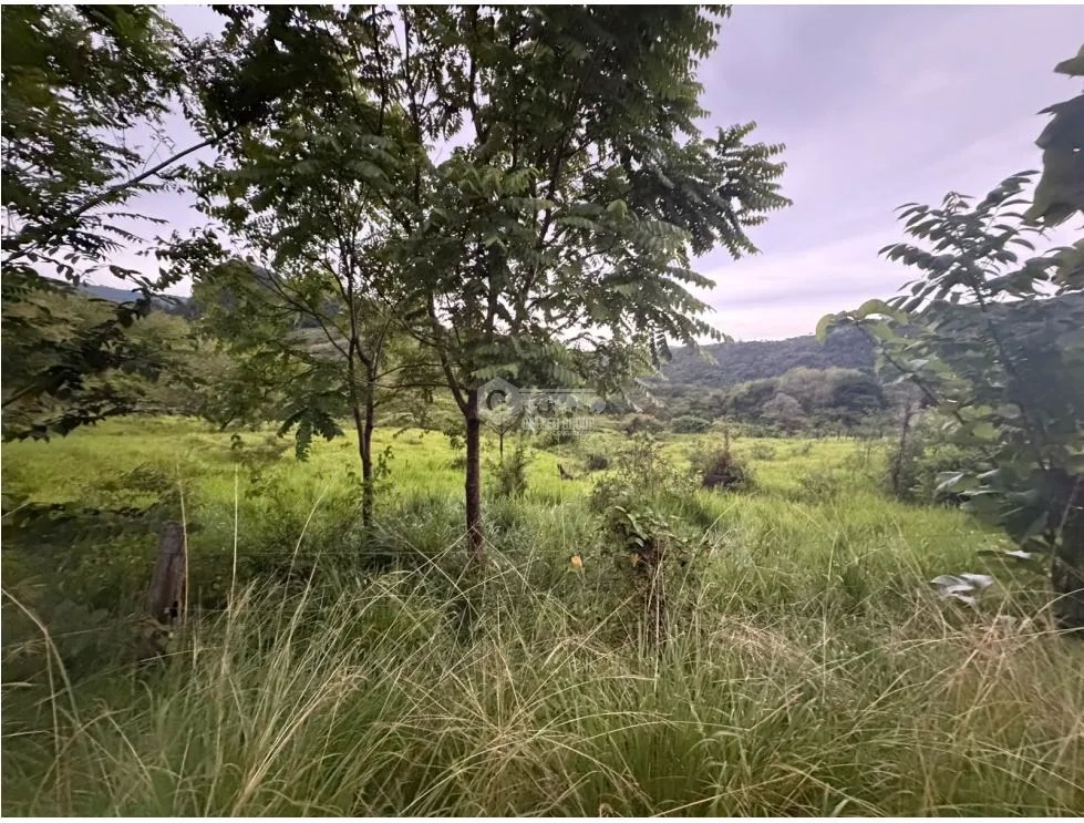 SE VENDE TERRENO LOS CAJONES DE CHAME 1800M SOBRE VIA ASFALTADA