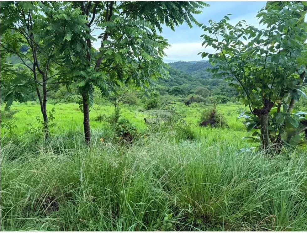 SE VENDE TERRENO LOS CAJONES DE CHAME 1800M SOBRE VIA ASFALTADA
