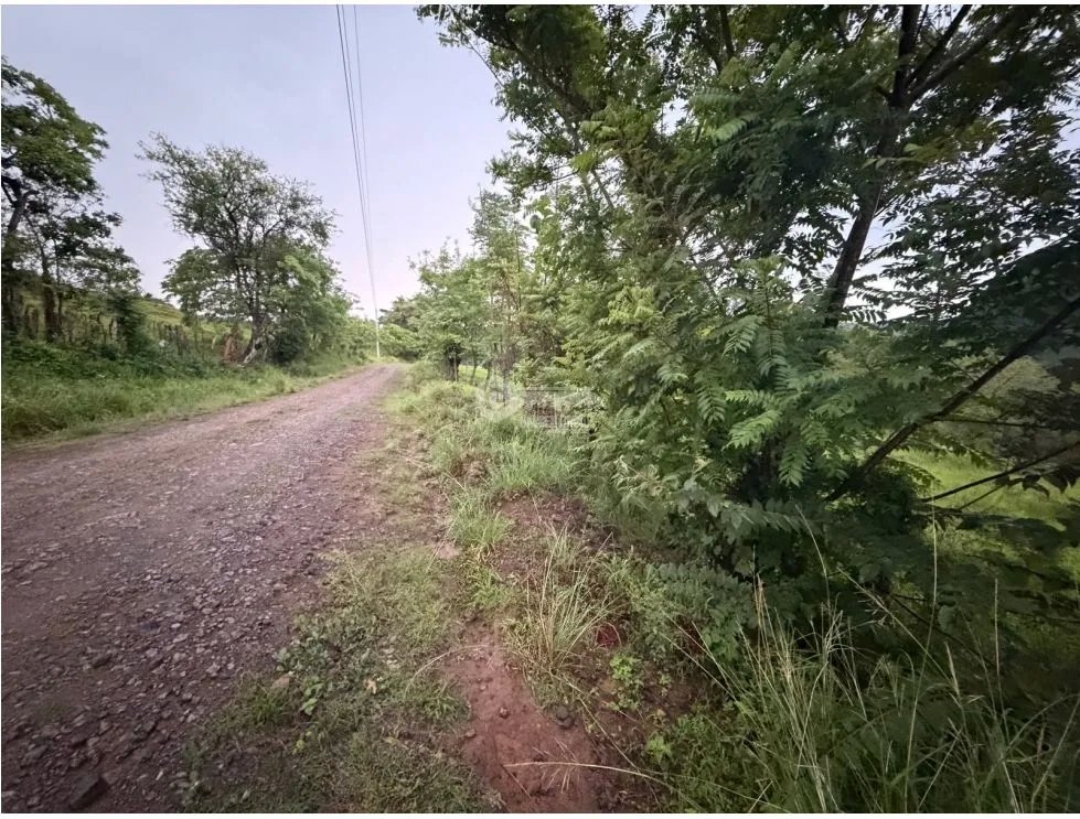 SE VENDE TERRENO LOS CAJONES DE CHAME 1800M SOBRE VIA ASFALTADA