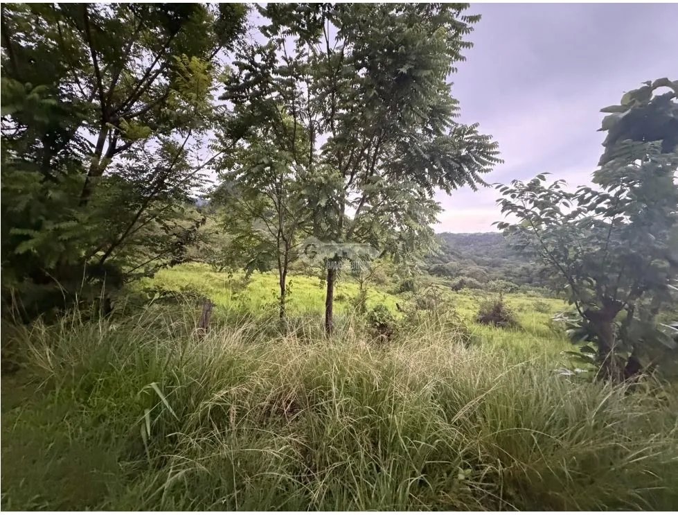 SE VENDE TERRENO LOS CAJONES DE CHAME 1800M SOBRE VIA ASFALTADA
