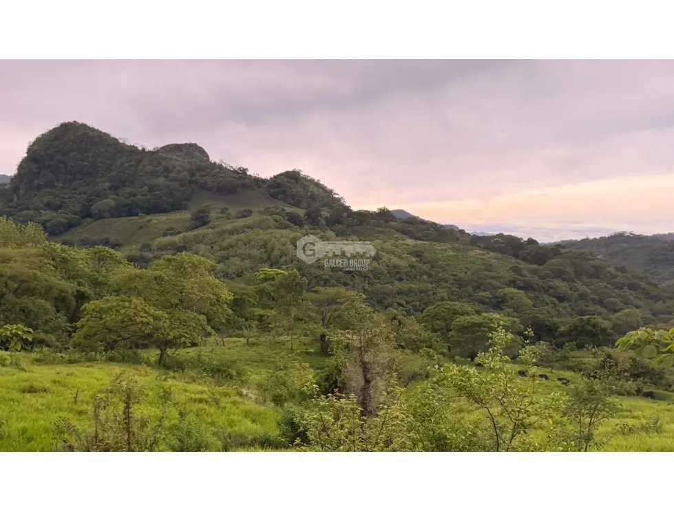 TERRENO / CHAME / LOS CAJONES / 1800M / SOBRE VIA ASFALTADA