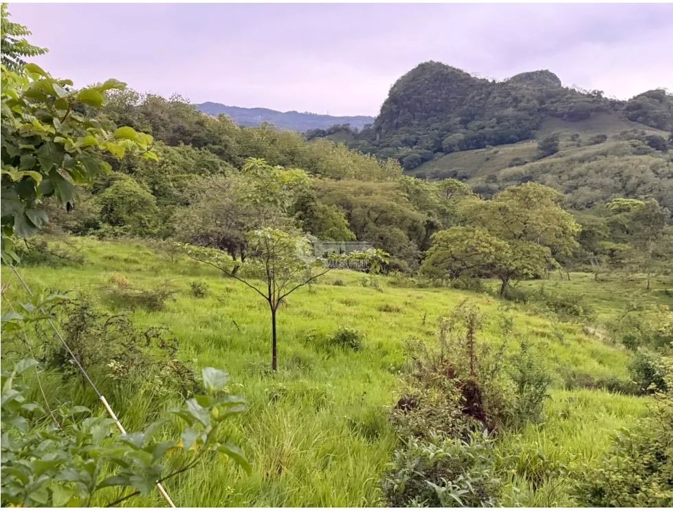 TERRENO / CHAME / LOS CAJONES / 1800M / SOBRE VIA ASFALTADA