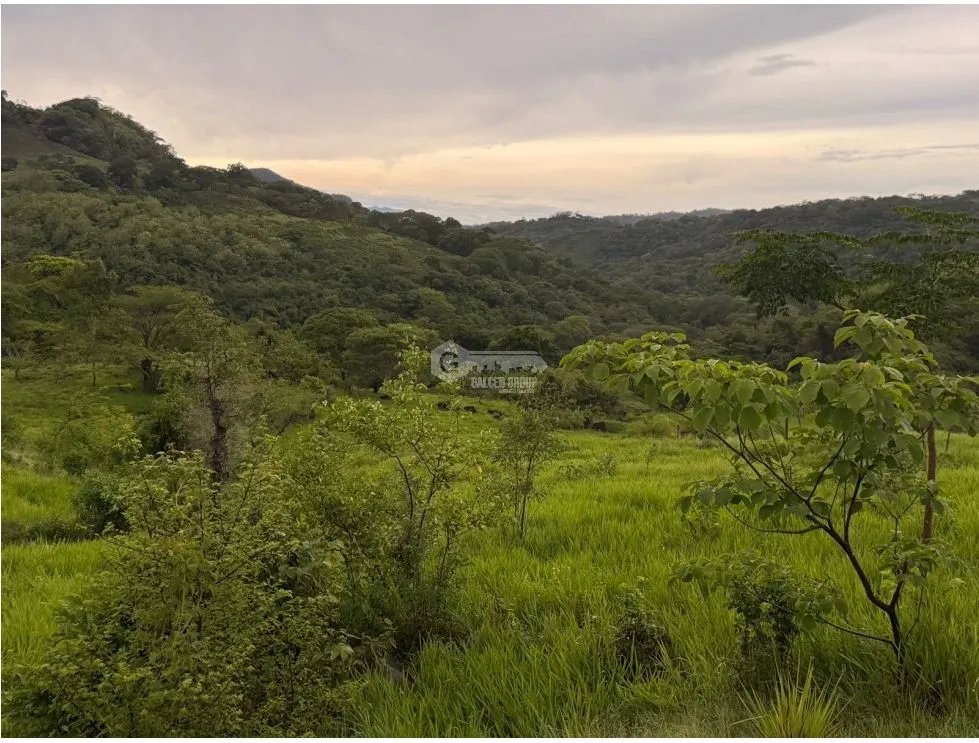 SE VENDE FINCA EN LOS CAJONES DE CHAME 2 HECTÁREAS SOBRE VIA ASFALTADA