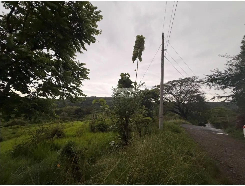 FINCA / CHAME / LOS CAJONES / 2 HECTÁREAS / SOBRE VIA ASFALTADA