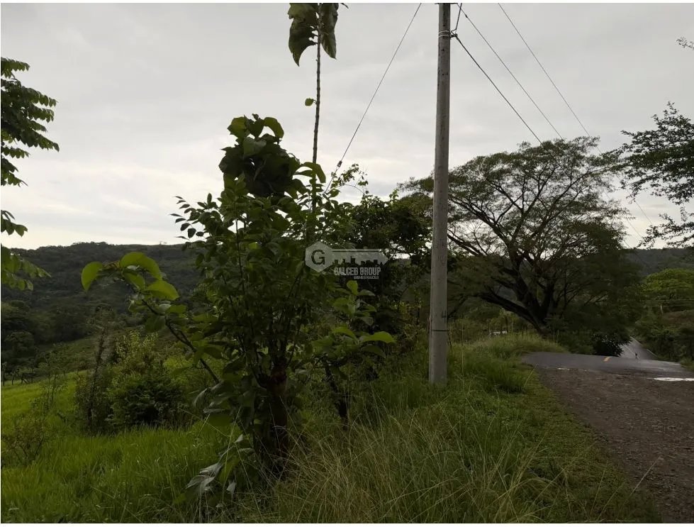 FINCA / CHAME / LOS CAJONES / 2 HECTÁREAS / SOBRE VIA ASFALTADA