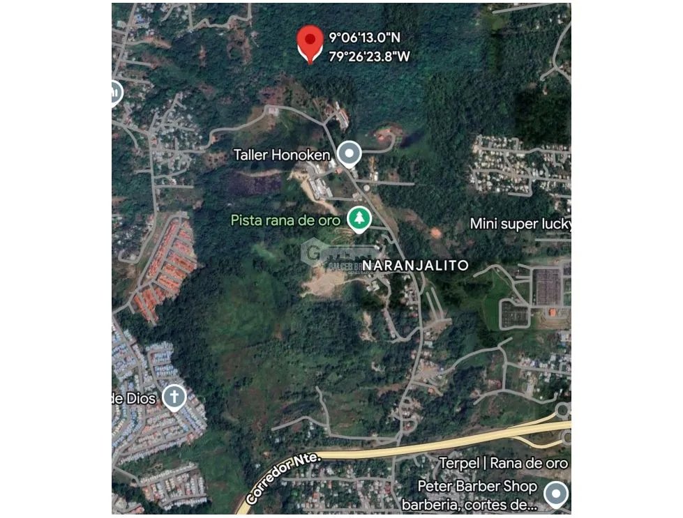 Land/Farm for sale in Pedregal
