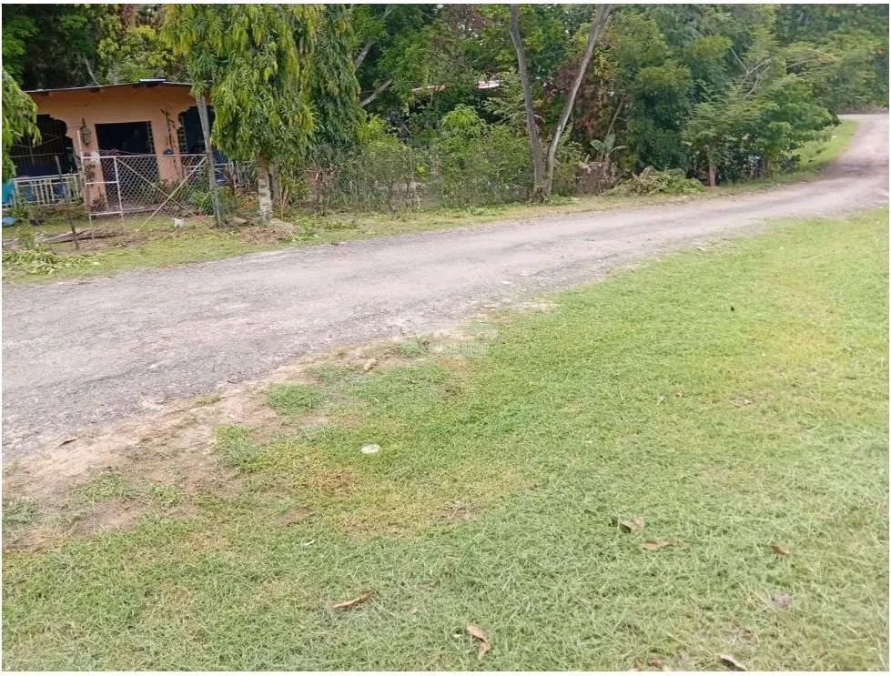 TERRENO / GORGONA / 1,269 M2 / SOBRE  VÍA ASFALTADA / PLAYA
