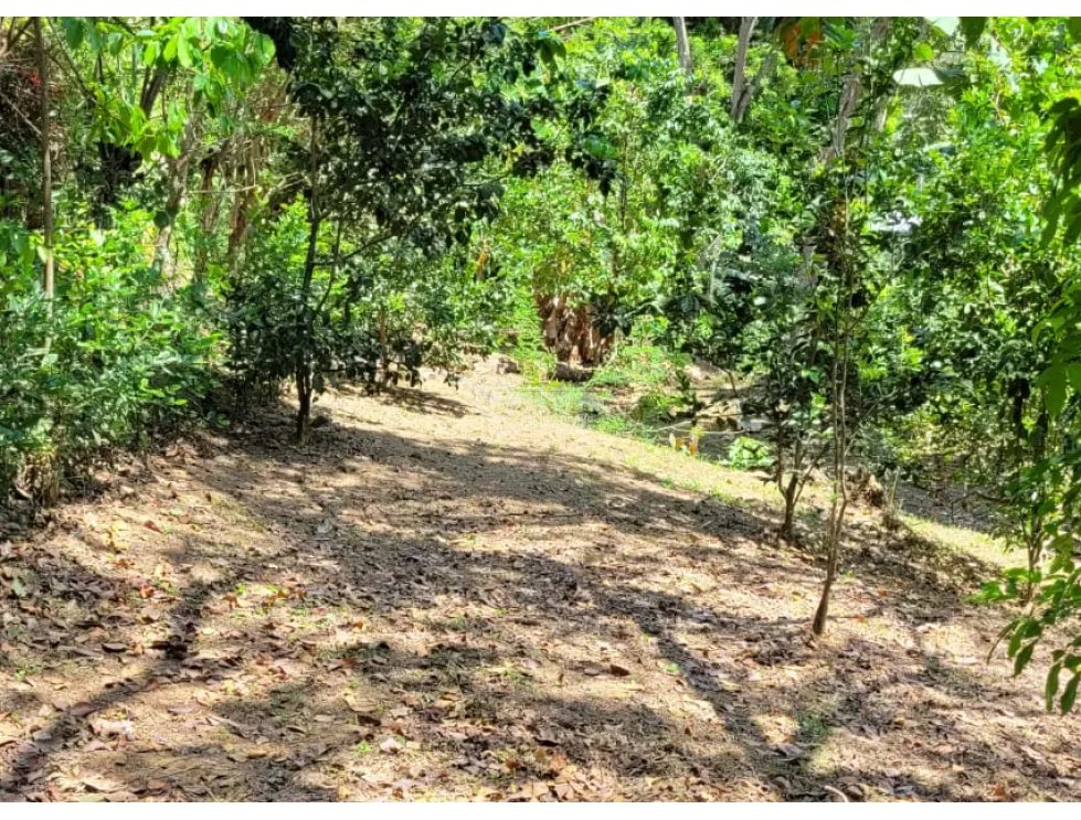 SE VENDE TERRENO EN CAPIRA 2000 M2 CAMPANA