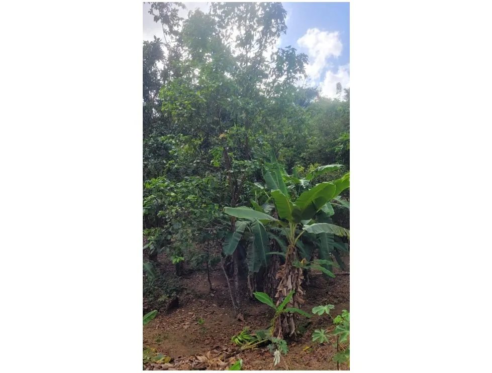 SE VENDE TERRENO EN CAPIRA 2000 M2 CAMPANA