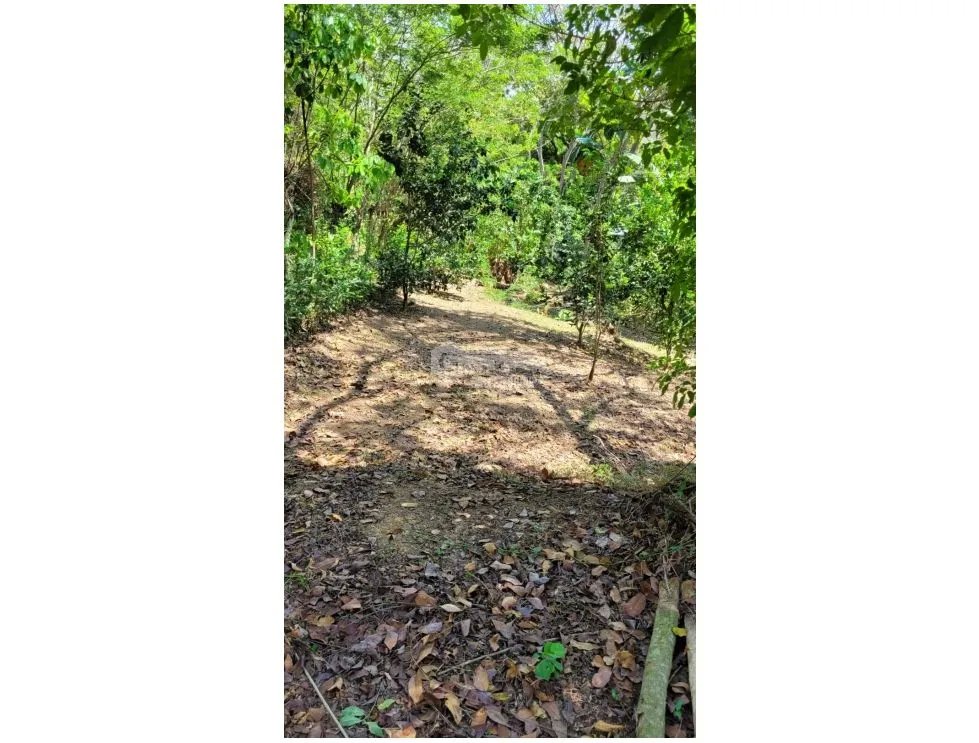 SE VENDE TERRENO EN CAPIRA 2000 M2 CAMPANA