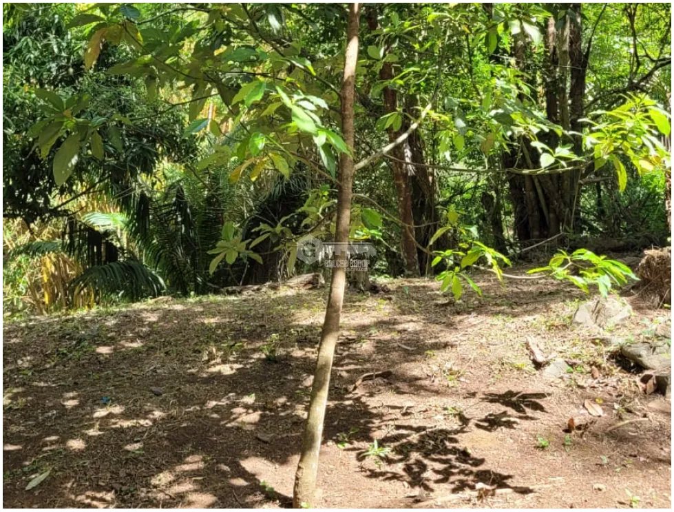 CAPIRA / CAMPANA / 2000M2 / TERRENO / FINCA