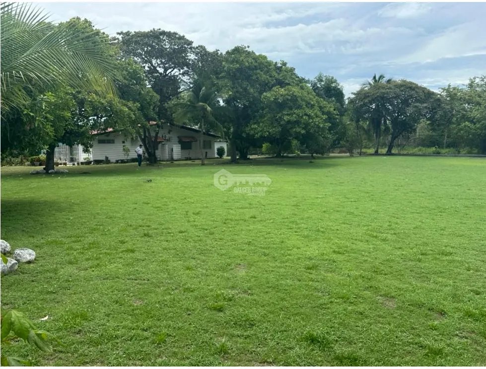 SE VENDE TERRENO EN CHAME 1250 M2 LOTE PLANO