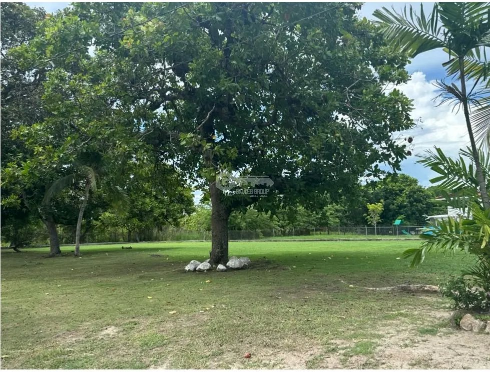 TERRENO / CHAME / 1250 M2 / CORONADO / LOTE PLANO