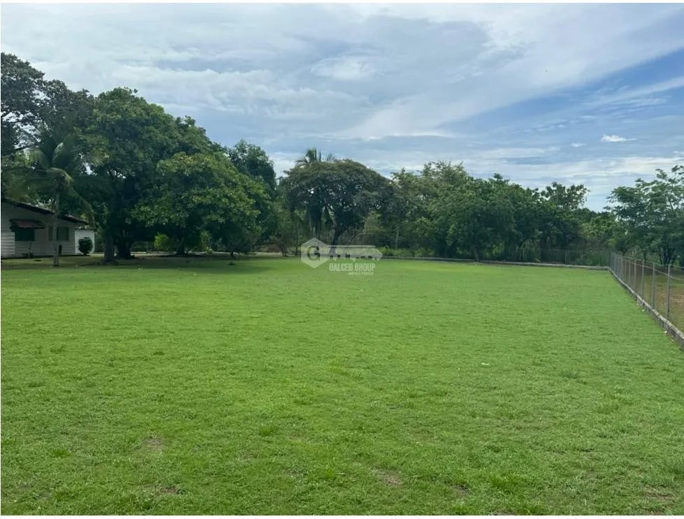 TERRENO / CHAME / 1250 M2 / CORONADO / LOTE PLANO