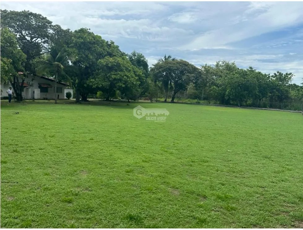 TERRENO / CHAME / 2500 M2 / CORONADO / DOS FINCAS