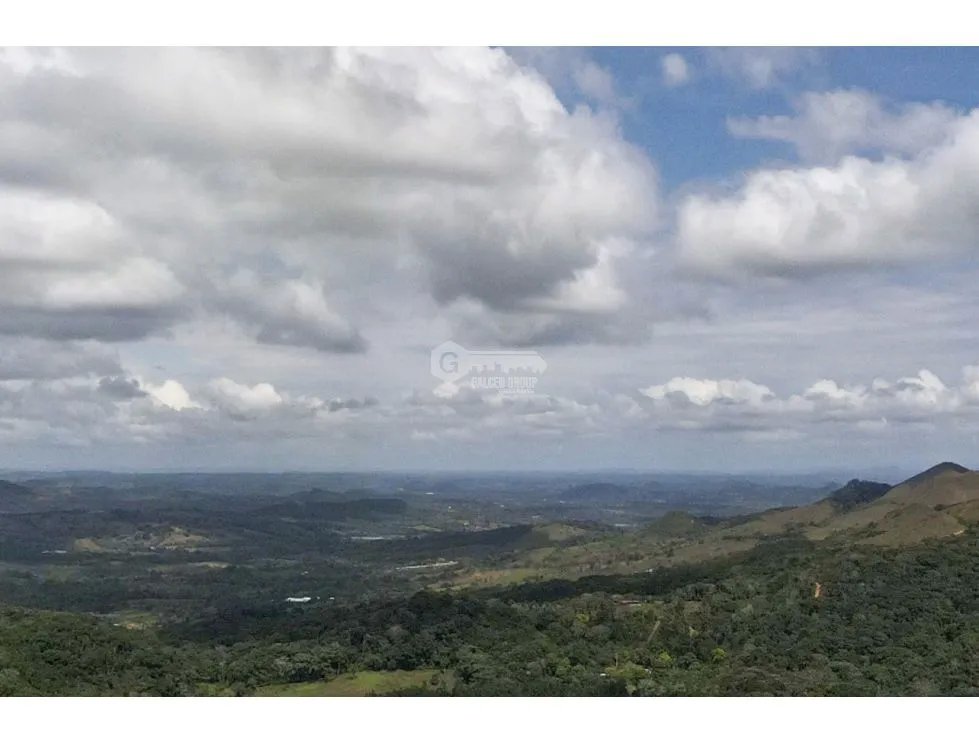 LOTE / CAPIRA / CERMEÑO / 21 HECTAREAS / INVERSION / REMATE