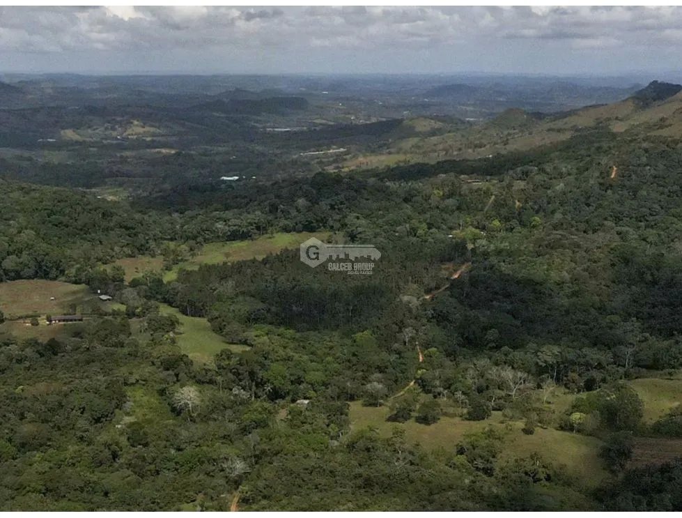 TERRENO / CAPIRA / CERMEÑO / 21 HECTÁREAS  / INVERSION / REMATE