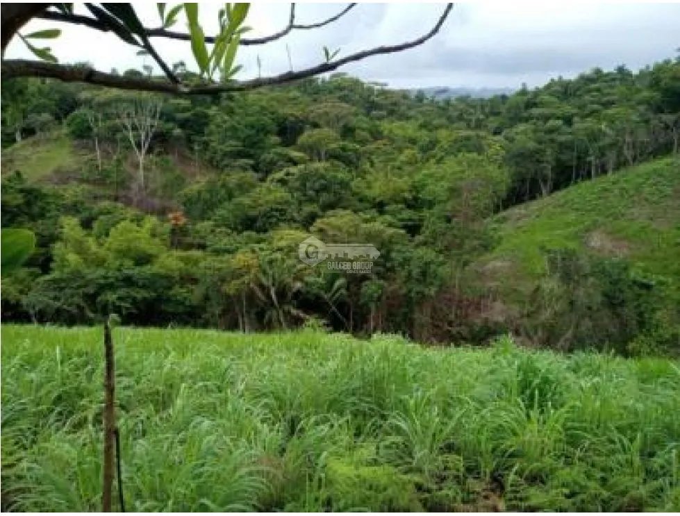Building Lot for sale in Capira