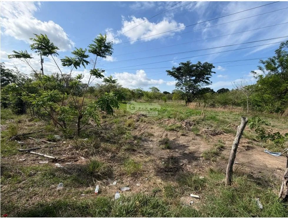 SE VENDE FINCA EN CHAME VIA ALTOS DE MARIA 6 HECTÁREAS