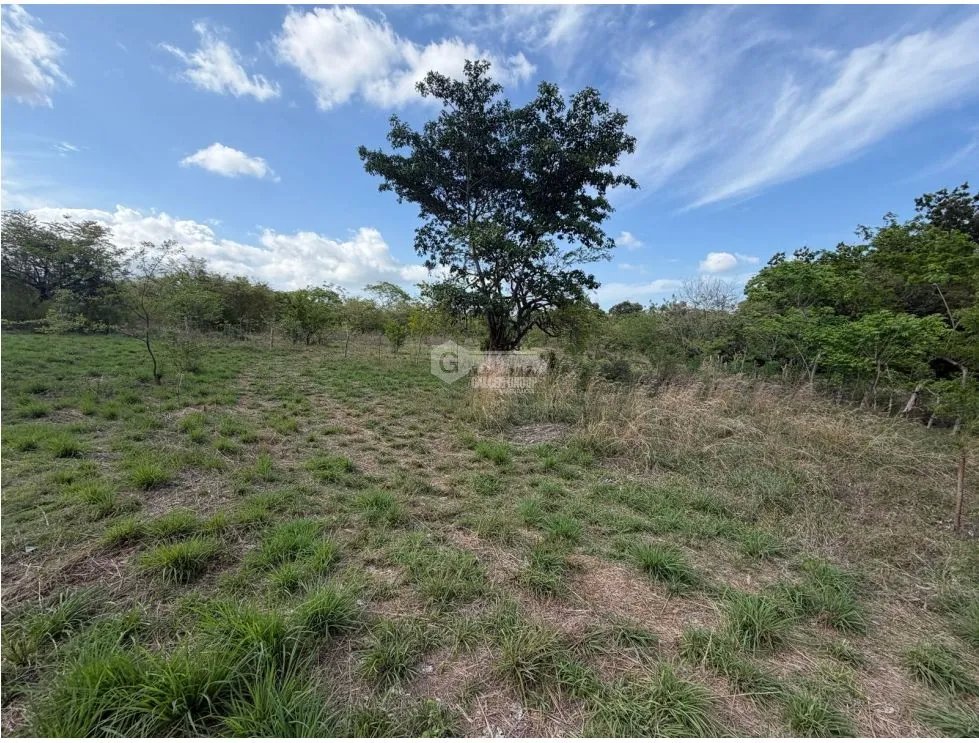 SE VENDE FINCA EN CHAME VIA ALTOS DE MARIA 6 HECTÁREAS