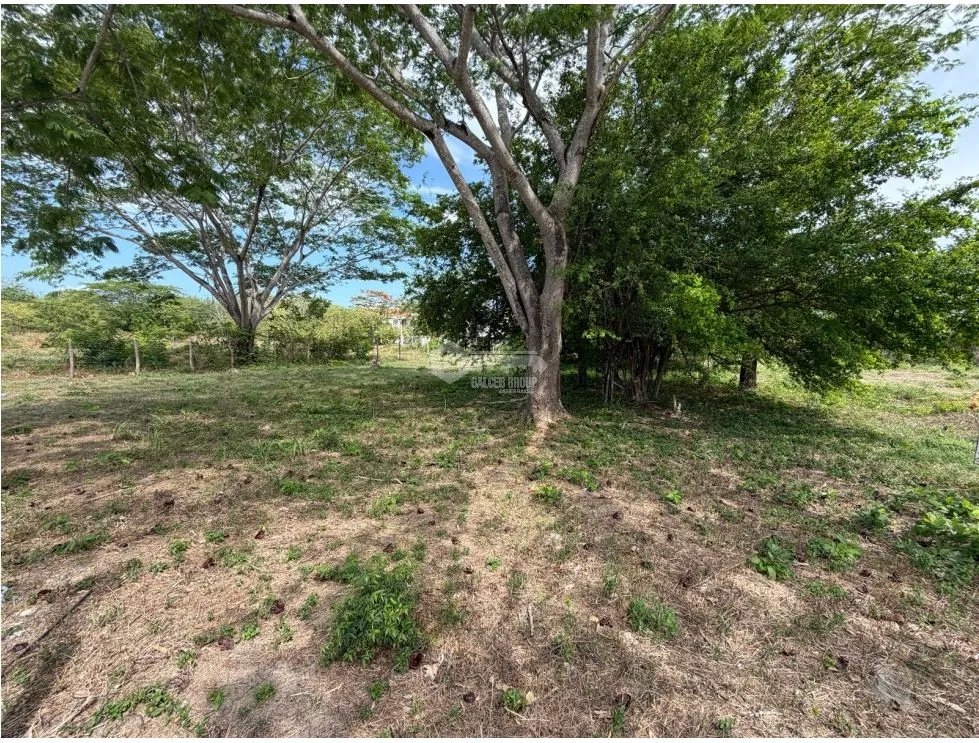SE VENDE TERRENO EN CHAME PLAYA MALIBU 2000 M2  SEGUNDA LINEA DEL MAR