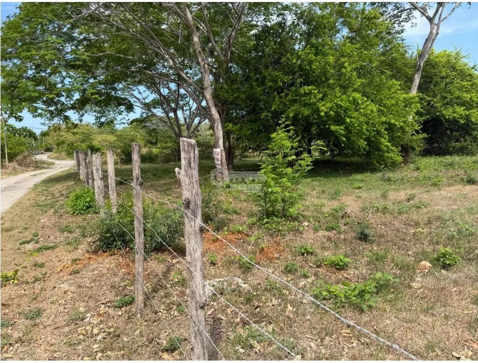 SE VENDE TERRENO EN CHAME PLAYA MALIBU 2000 M2  SEGUNDA LINEA DEL MAR