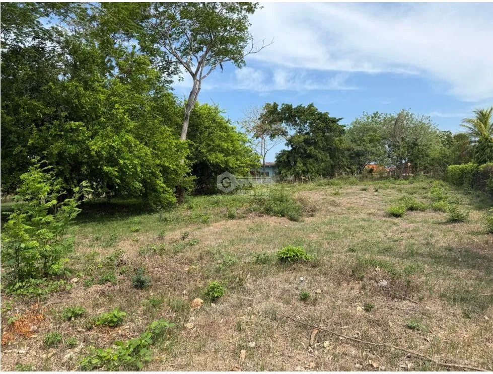 SE VENDE TERRENO EN CHAME PLAYA MALIBU 2000 M2  SEGUNDA LINEA DEL MAR