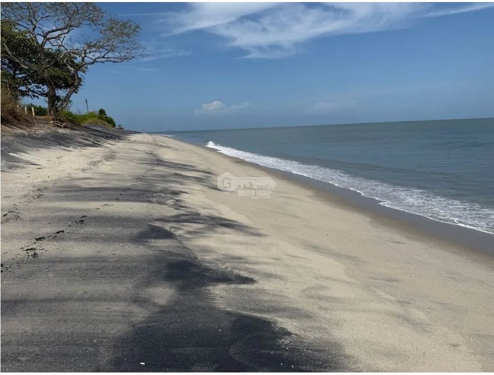 TERRENO / CHAME / 2000 M2 / PLAYA MALIBU / SEGUNDA LINEA DEL MAR