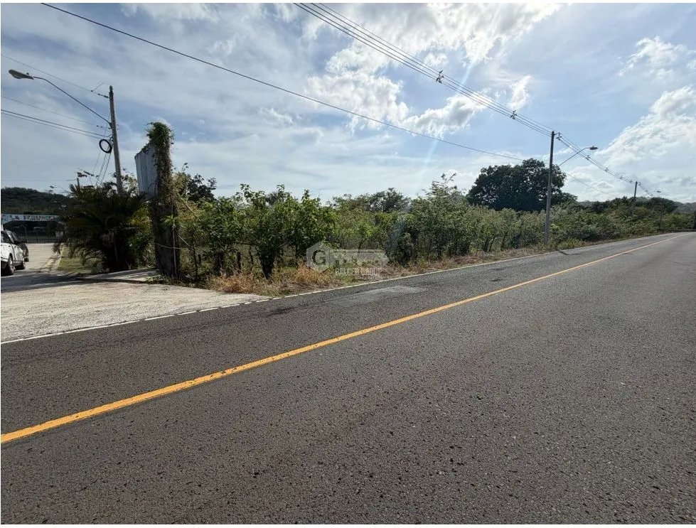 SE VENDE  FINCA EN VIA ALTOS DE MARIA  30 HECTÁREAS SOBRE VIA ASFALTO